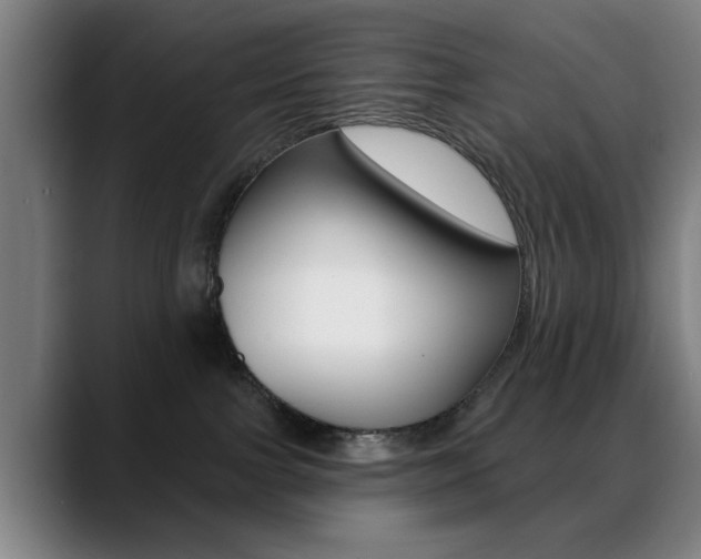 X0000089380091200706150920