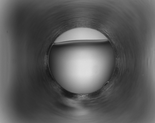 X0000089380093200706150920