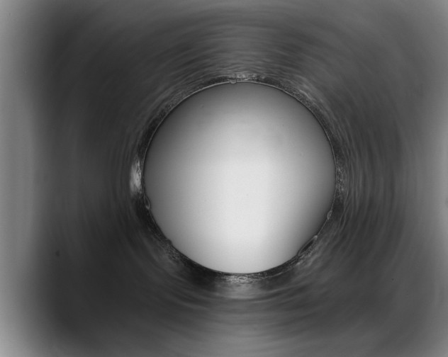 X0000089380095200706150920