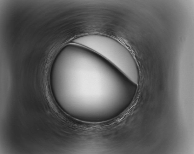 X0000089380097200706150919