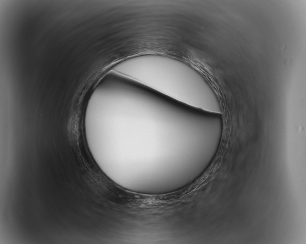 X0000089380098200706150919