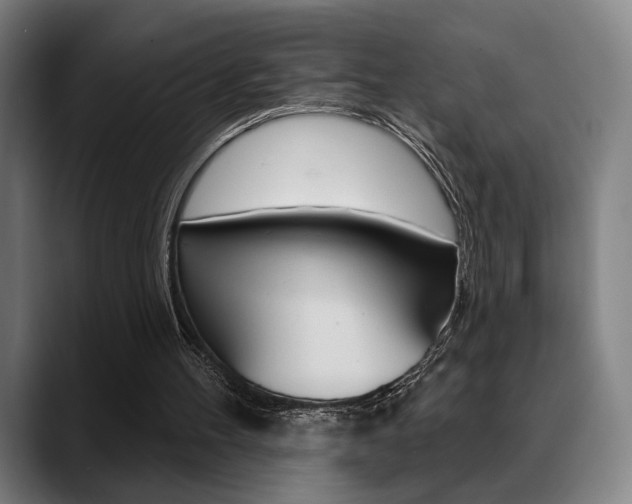 X0000089380100200706150919