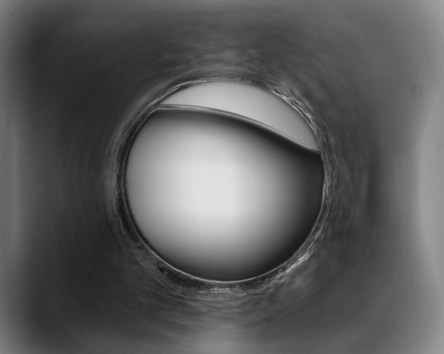 X0000089380101200706150919