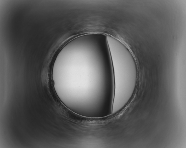 X0000089380103200706150919
