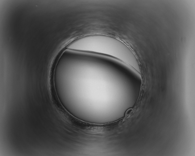 X0000089380104200706150919