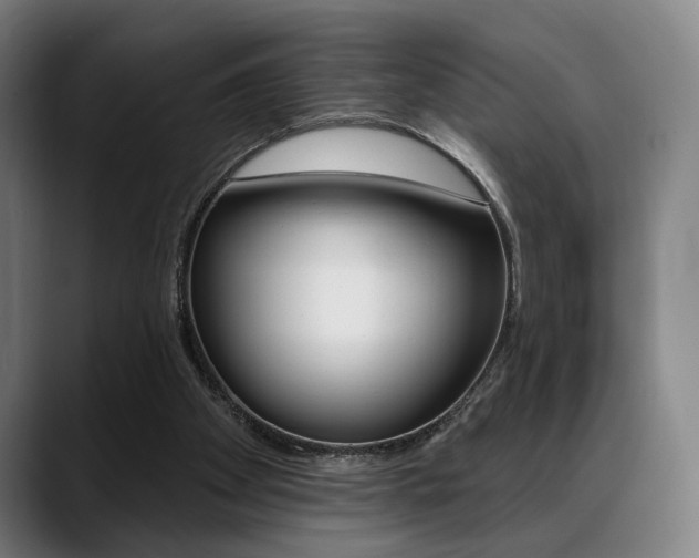 X0000089380105200706150919