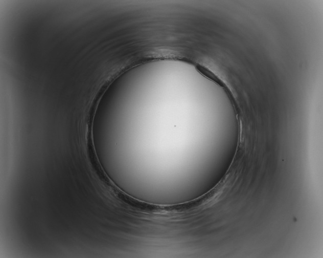 X0000089380109200706150919
