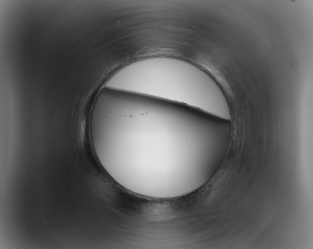 X0000089380110200706150919