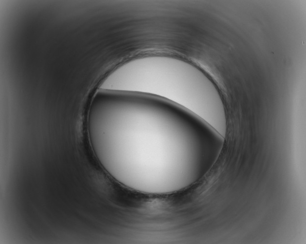 X0000089380111200706150919