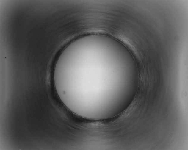 X0000089380112200706150919