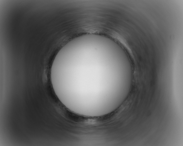 X0000089380114200706150919