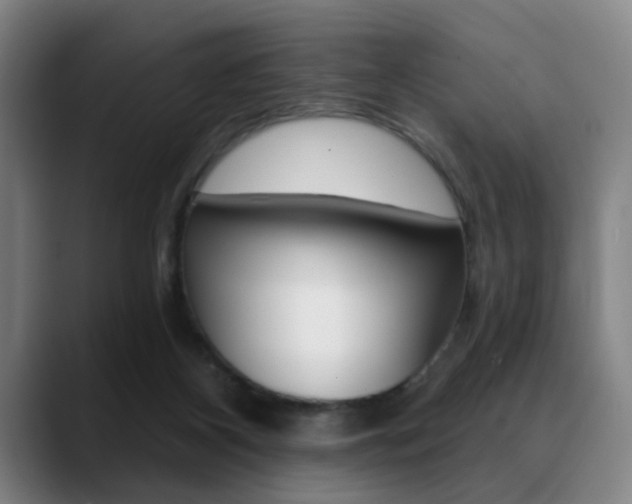 X0000089380116200706150919