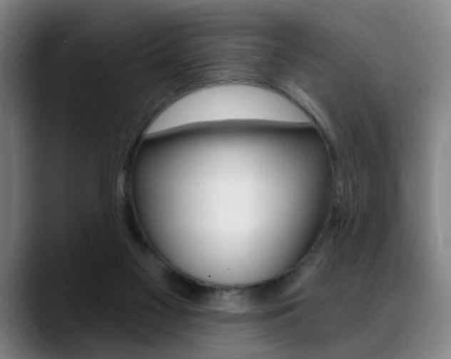 X0000089380117200706150919