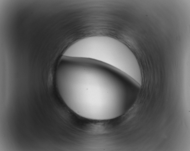 X0000089380120200706150919