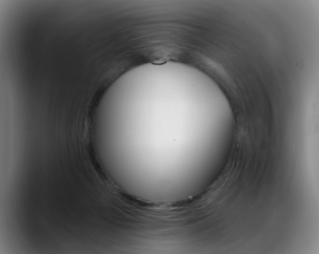 X0000089380121200706150919