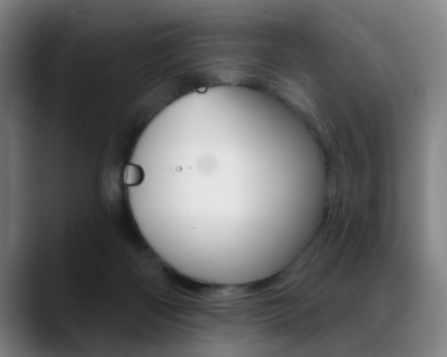 X0000089380122200706150919