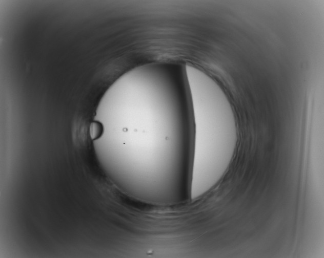 X0000089380123200706150919