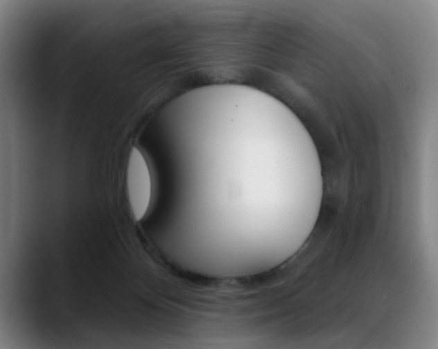 X0000089380124200706150919