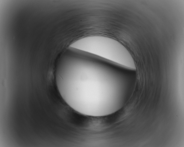 X0000089380127200706150919