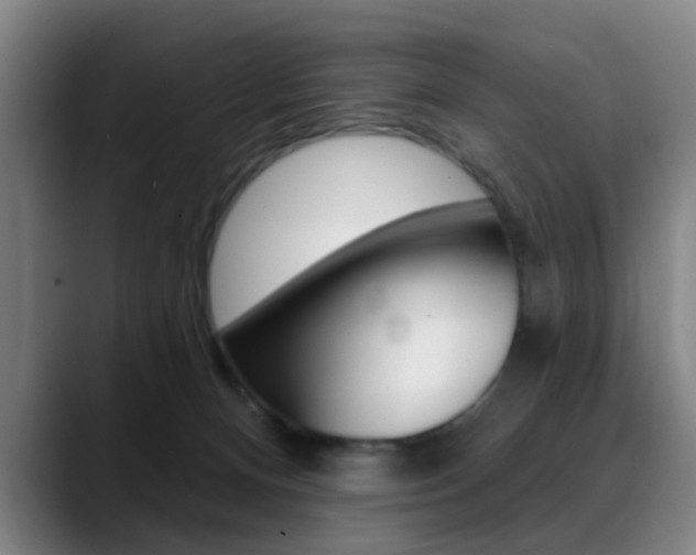 X0000089380128200706150919
