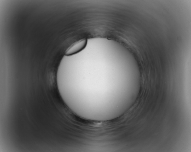 X0000089380130200706150919