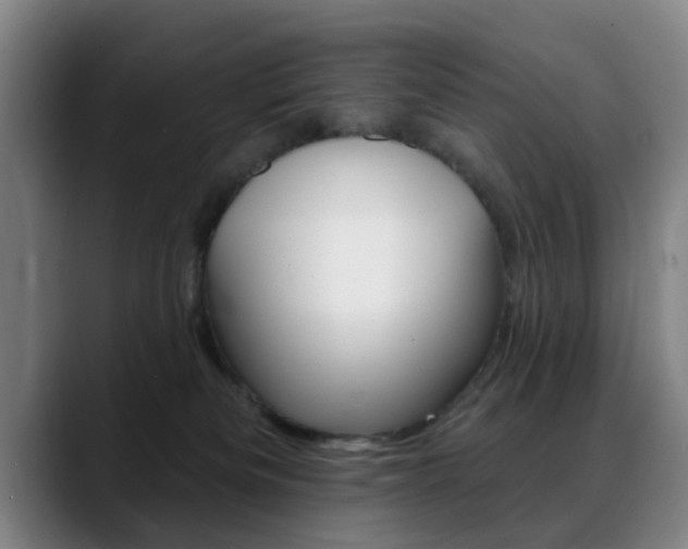 X0000089380133200706150919