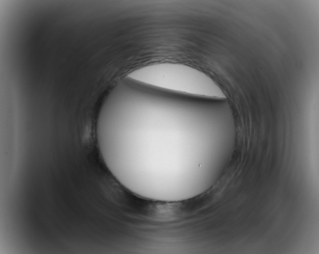 X0000089380134200706150919