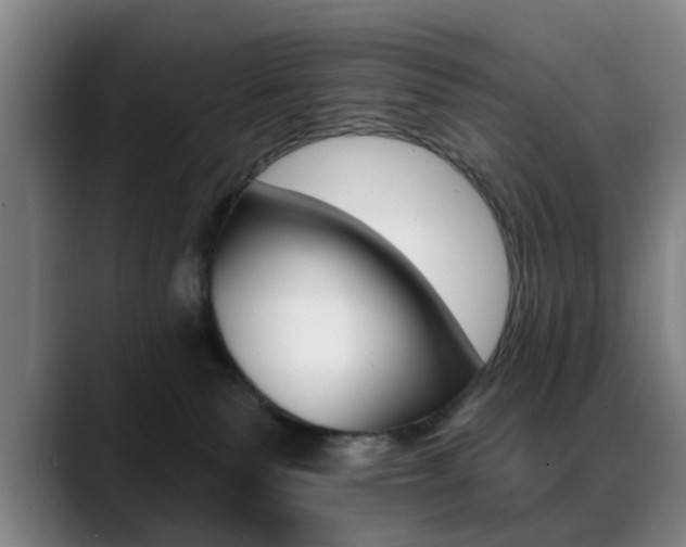 X0000089380135200706150919