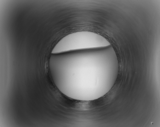 X0000089380138200706150919