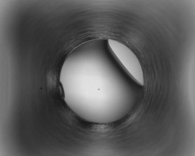 X0000089380139200706150919