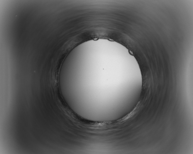 X0000089380140200706150919