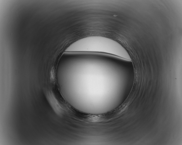 X0000089380143200706150919
