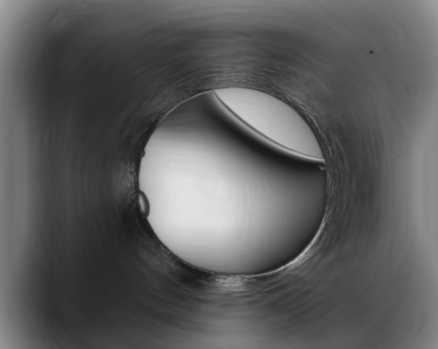 X0000089380144200706150919