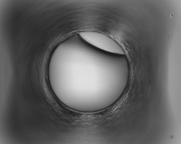 X0000089380145200706150918
