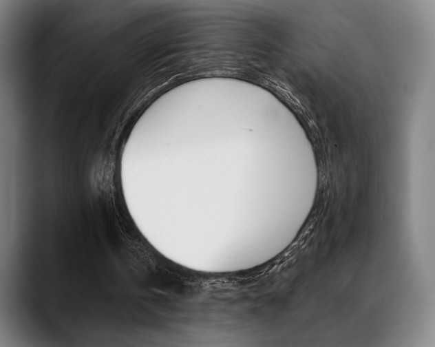 X0000089380146200706150918