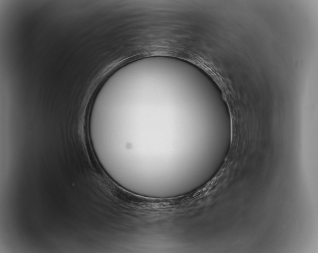 X0000089380147200706150918