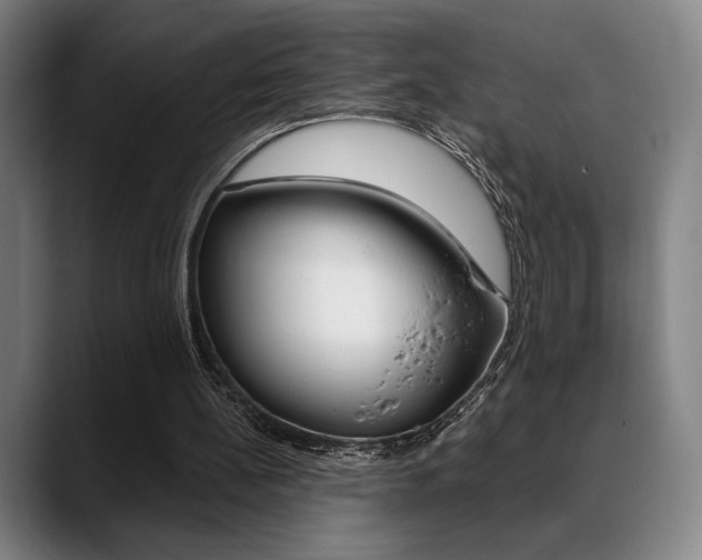 X0000089380148200706150918