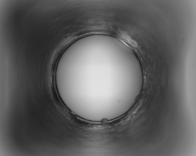 X0000089380149200706150918