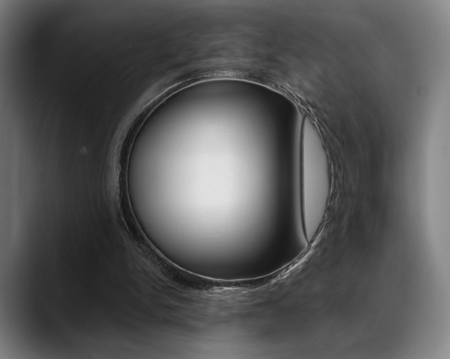 X0000089380150200706150918
