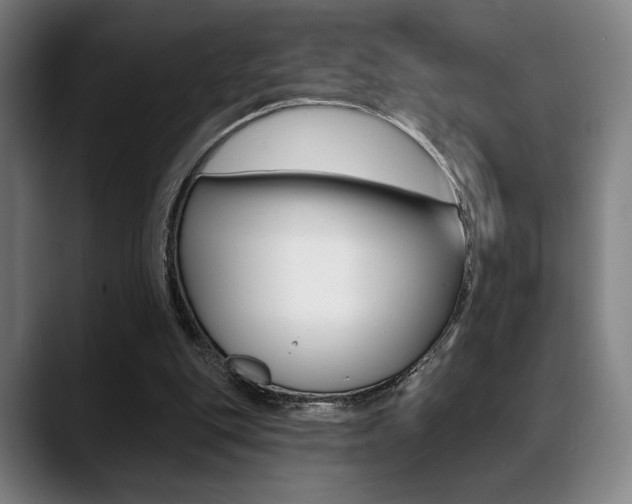 X0000089380151200706150918