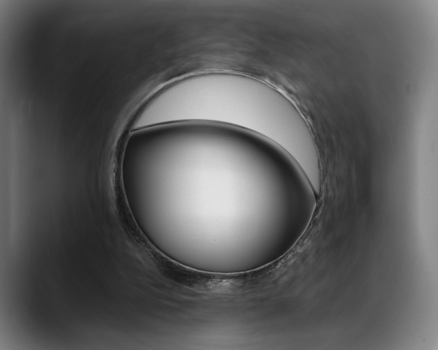 X0000089380152200706150918