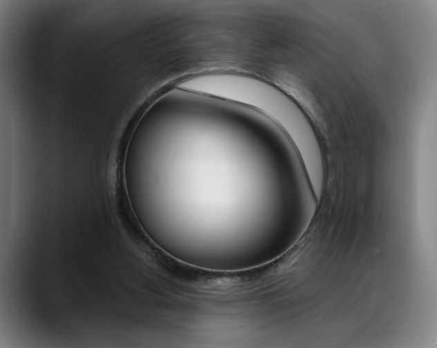 X0000089380156200706150918