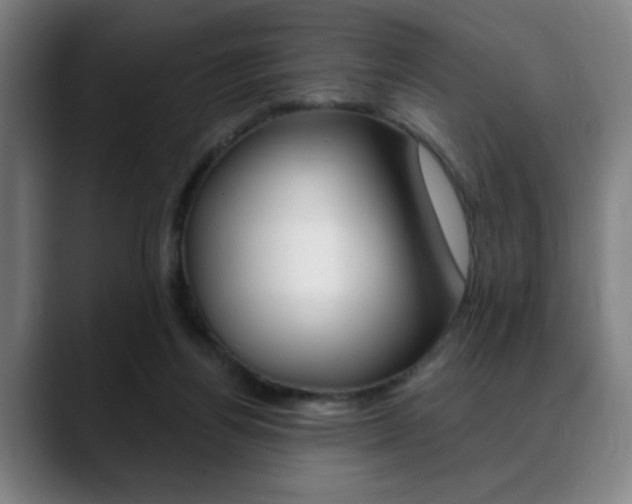 X0000089380164200706150918