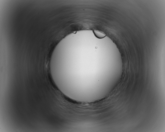 X0000089380177200706150918