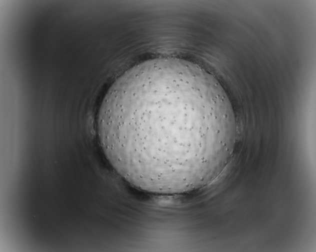 X0000089380187200706150918