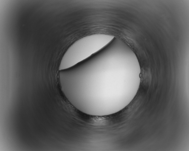X0000089380189200706150918