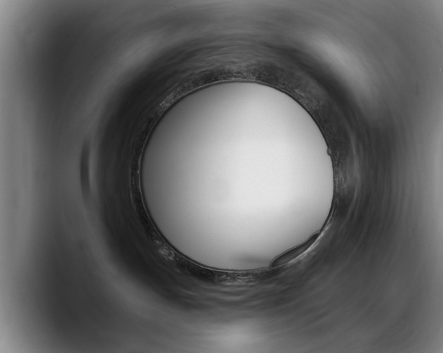X0000089380191200706150919
