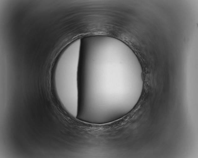 X0000089380194200706150918