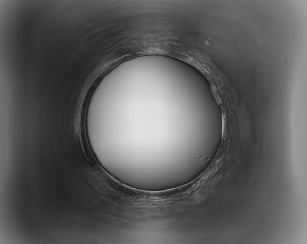 X0000089380195200706150918