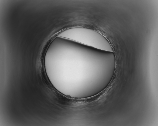X0000089380198200706150918